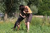 ENFANT ET CHIEN 351